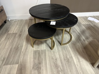 Salontafel set 3 Sanne Zwart